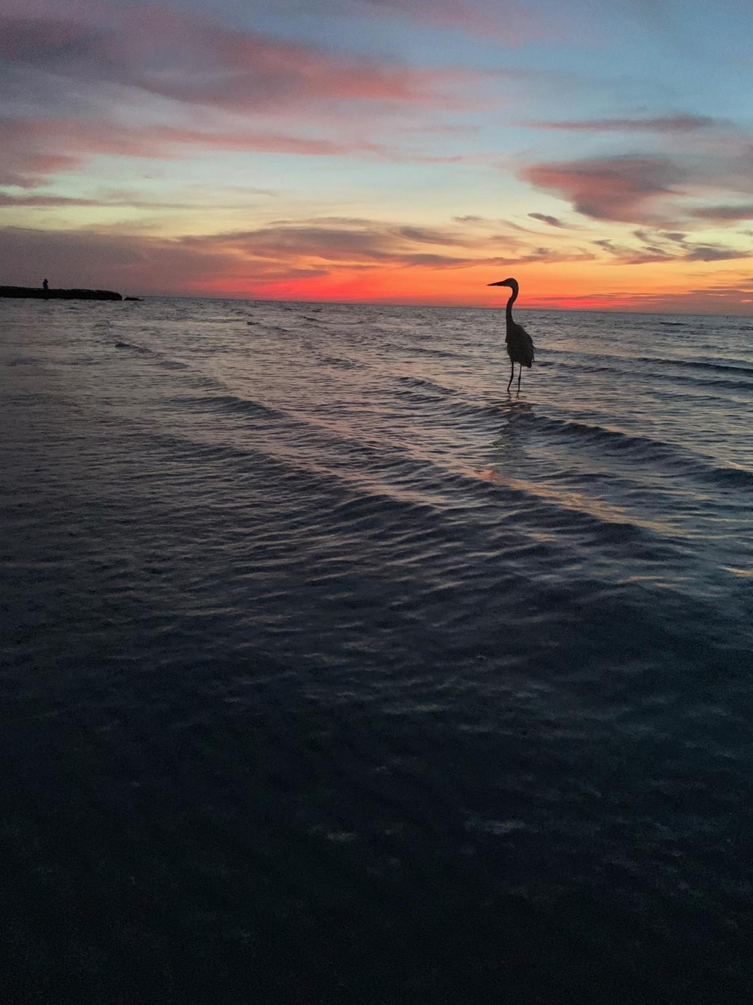 Casa Noma-Noma Holbox B&B 외부 사진