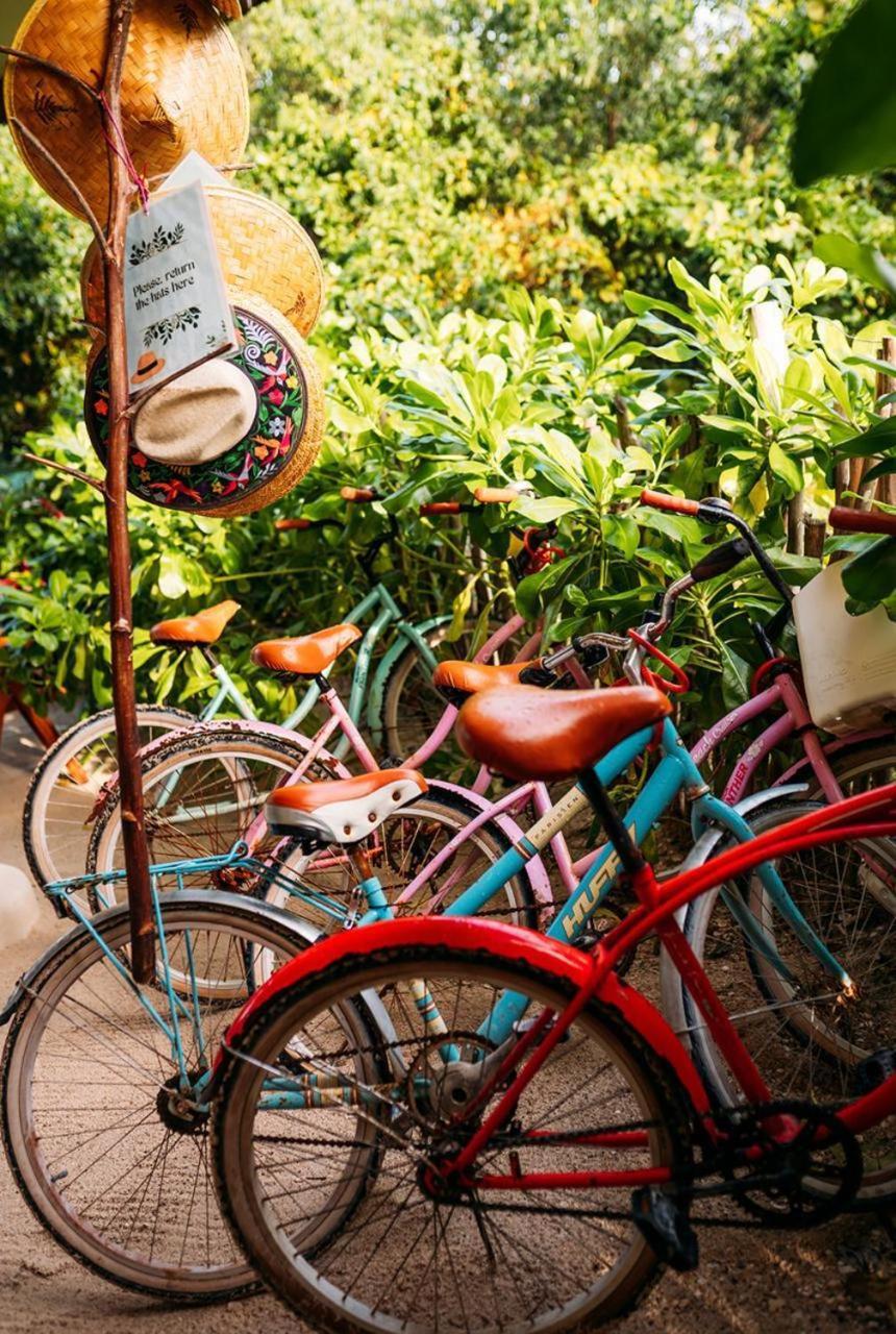 Casa Noma-Noma Holbox B&B 외부 사진